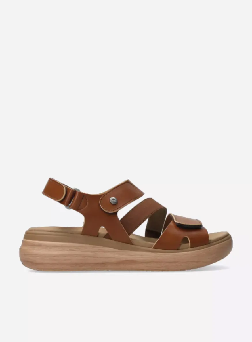 Amara - naturel biocare