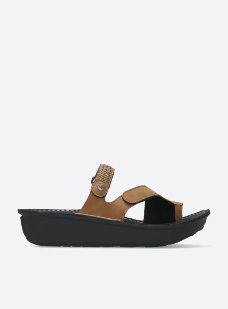 Chicama - bruin biocare