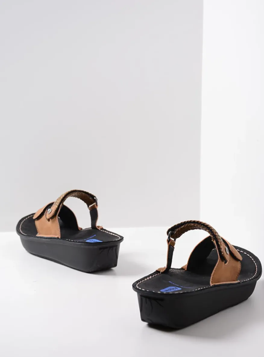 Chicama - bruin biocare