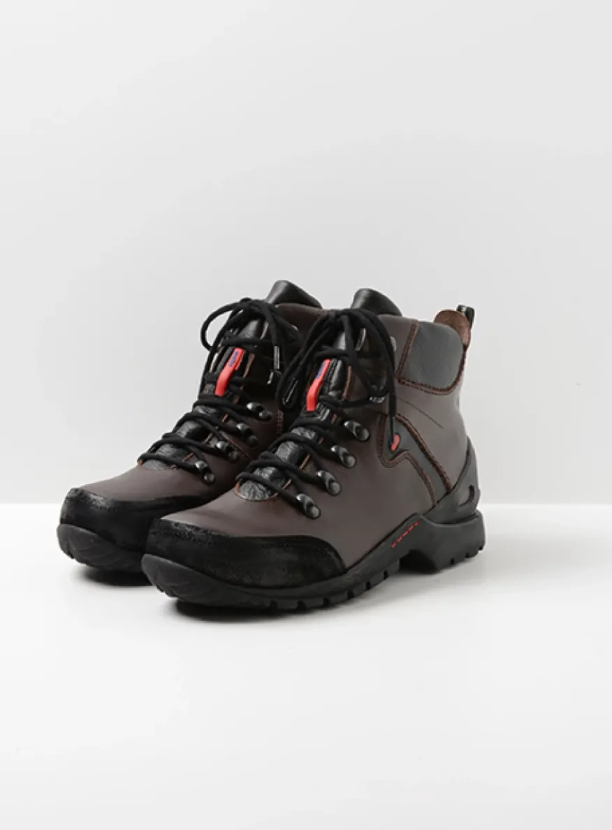 City Tracker WP - bruin leer