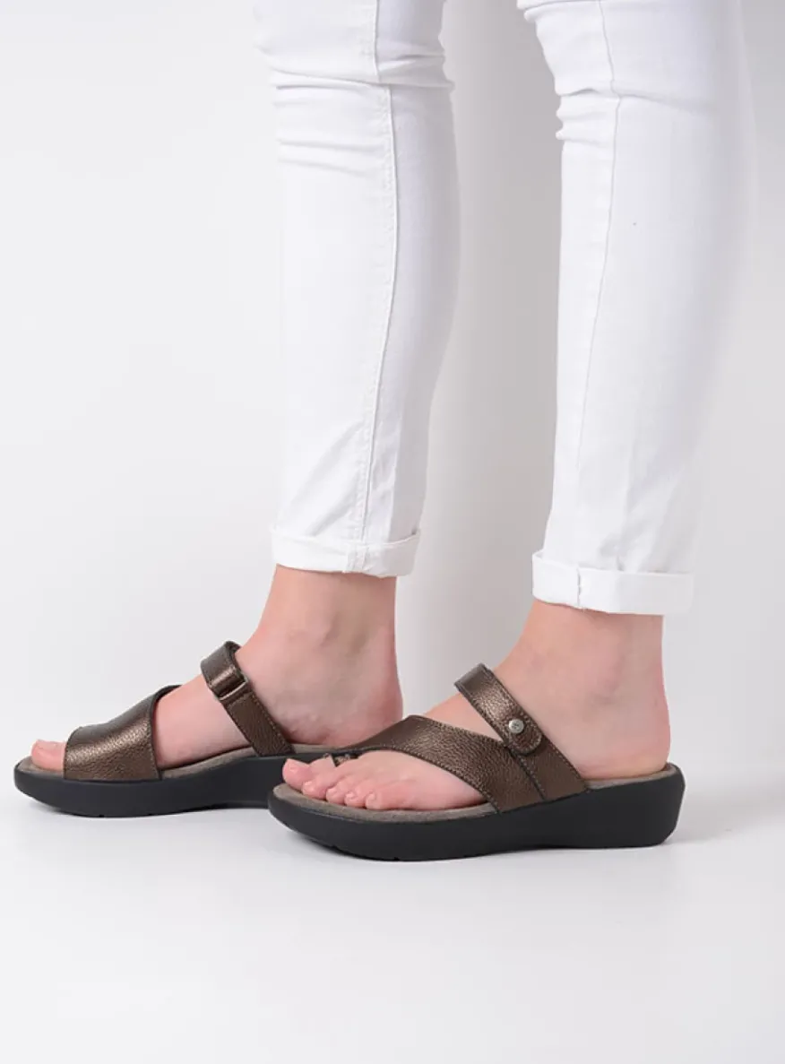 Collins - brons leer