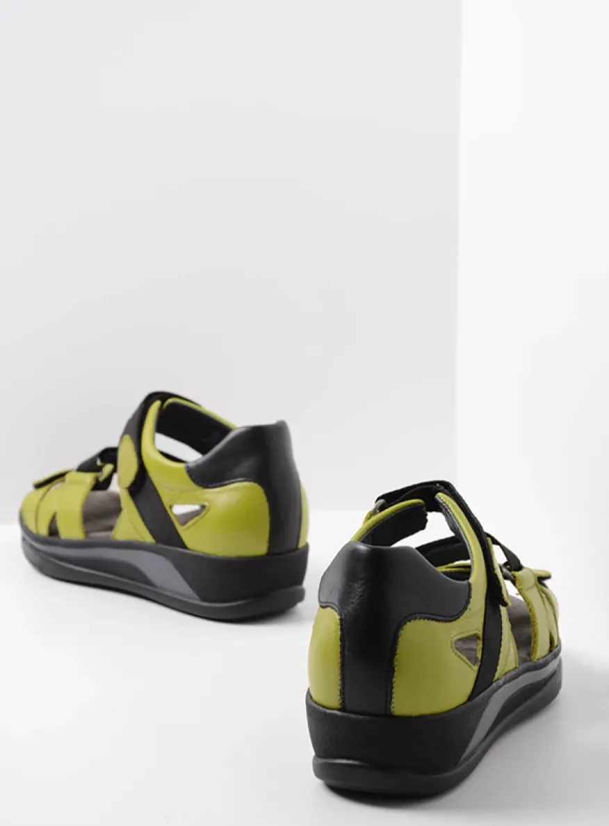 Desh - olijfgroen leer