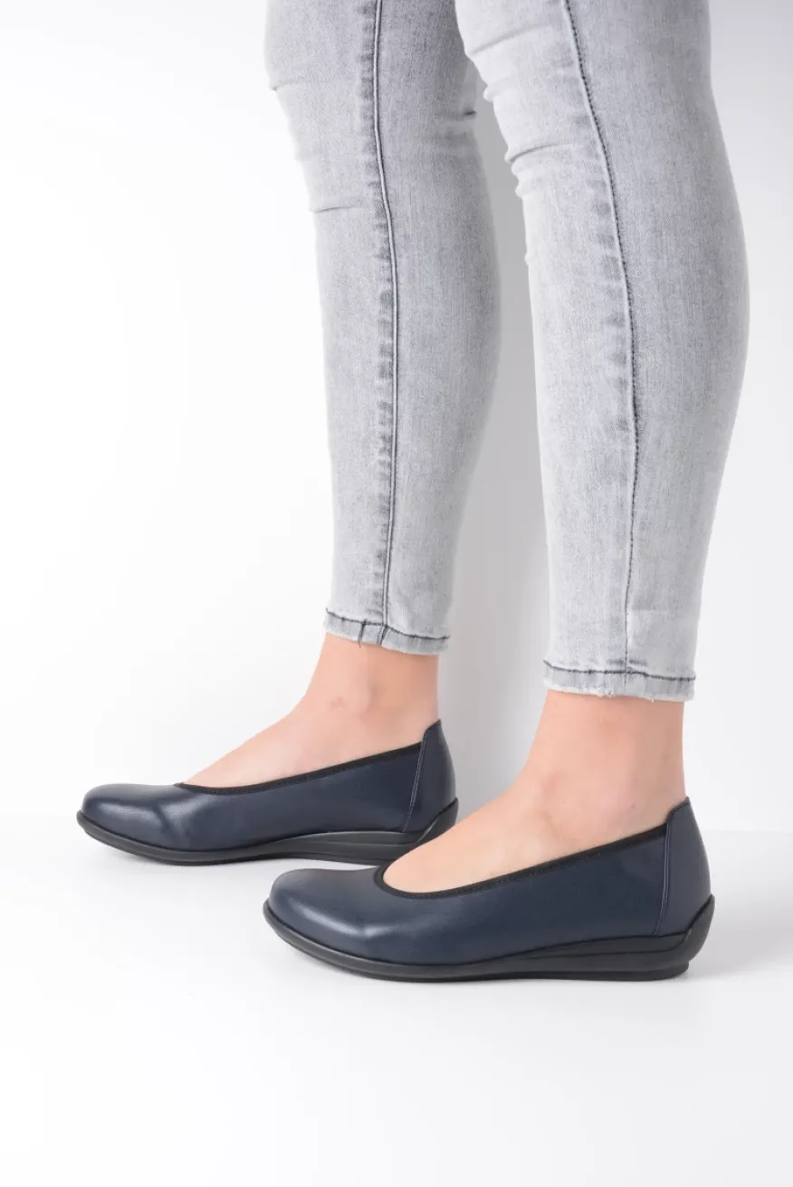 Duncan F2F - blauw biocare