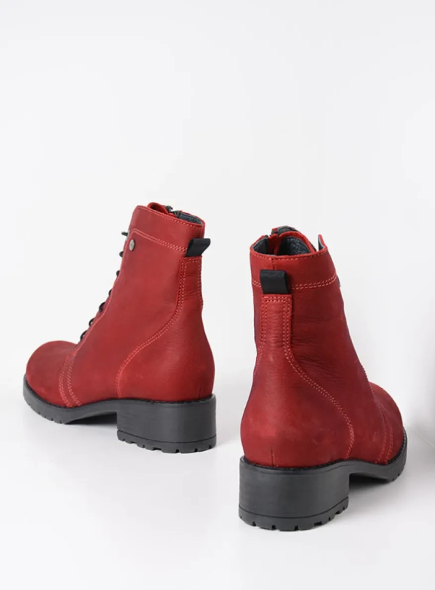 Quinta F2F - bordeauxrood nubuck