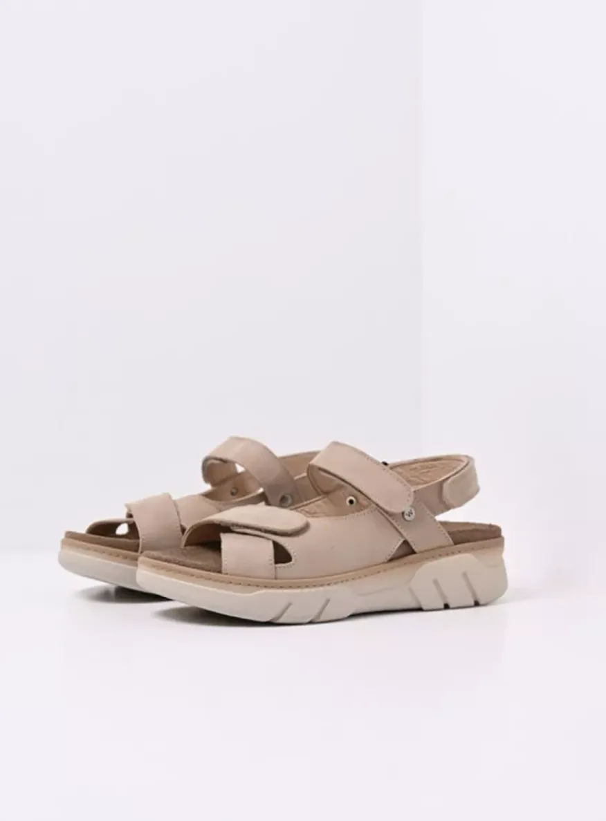 Rapid - nubuck safari