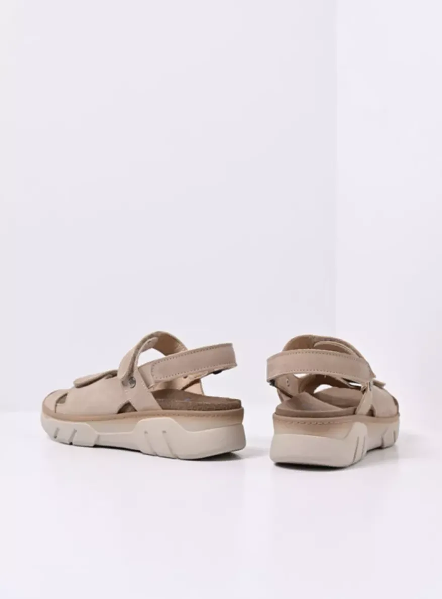 Rapid - nubuck safari