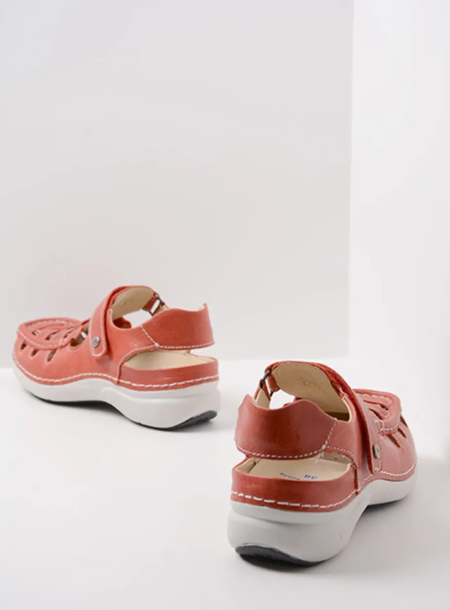 Rolling Sun - scarletrood leer